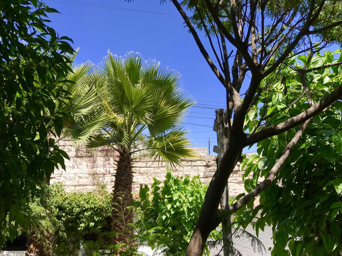Grace Valley Ξενοδοχείο Αρεκίπα Εξωτερικό φωτογραφία