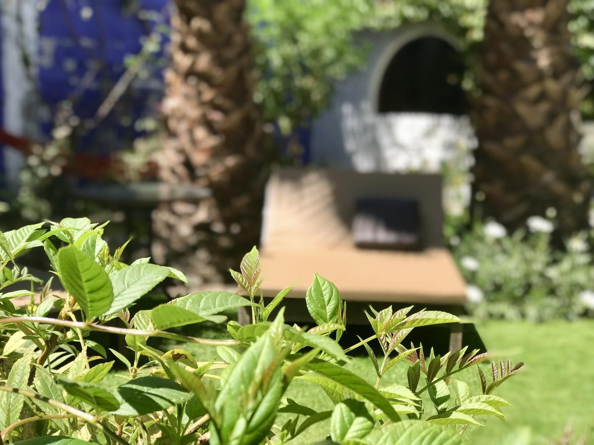 Grace Valley Ξενοδοχείο Αρεκίπα Εξωτερικό φωτογραφία