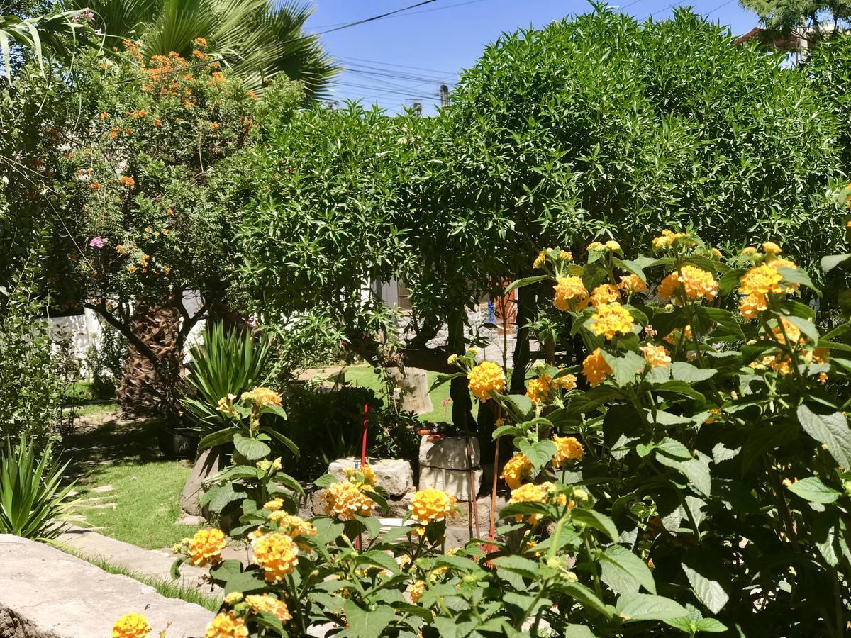 Grace Valley Ξενοδοχείο Αρεκίπα Εξωτερικό φωτογραφία