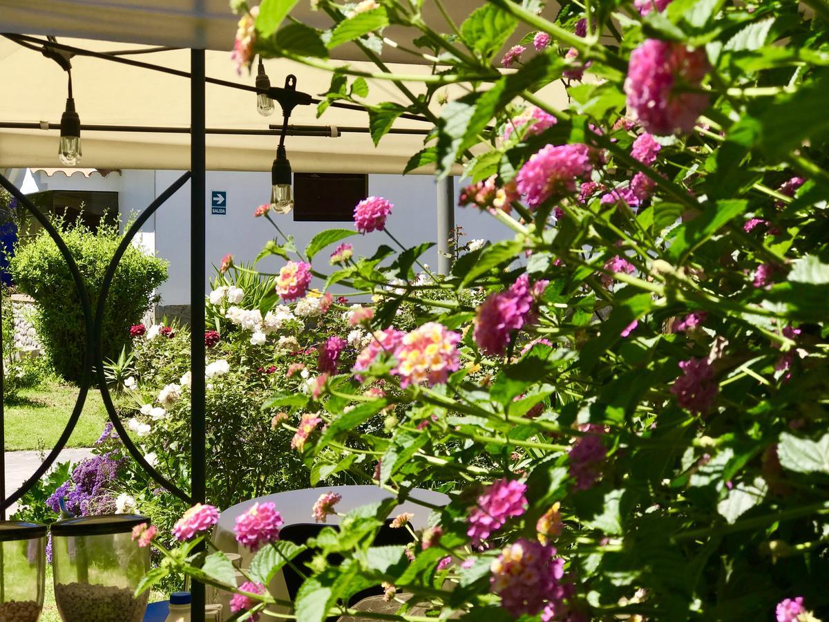 Grace Valley Ξενοδοχείο Αρεκίπα Εξωτερικό φωτογραφία