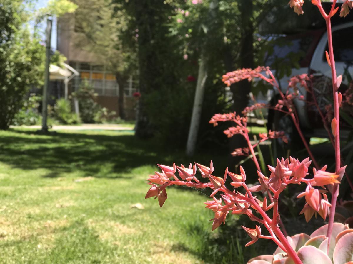 Grace Valley Ξενοδοχείο Αρεκίπα Εξωτερικό φωτογραφία