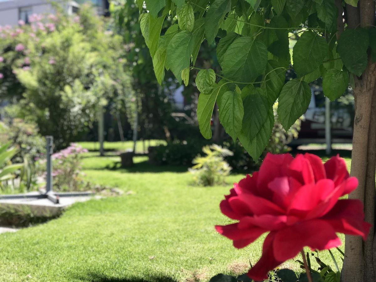 Grace Valley Ξενοδοχείο Αρεκίπα Εξωτερικό φωτογραφία